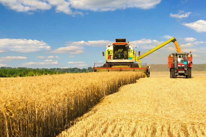 Минсельхоз резко занизил оценку урожая зерна в России в 2024 году
